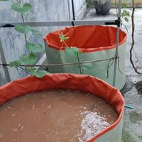 Kolam Terpal Bulat Tanpa Rangka A20 Diameter 1 m tinggi 45cm Untuk Budidaya