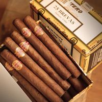 Quintero brevas - box of 25 cigar cerutu