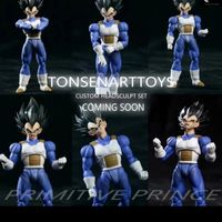 Tonsenarttoys Vegeta Normal 6 Headsculpts Set for SHF 