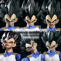 Tonsenarttoys Vegeta Normal 6 Headsculpts Set for SHF 