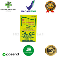 Obat Herbal Untuk Panas Dalam - Sari Temulawak Kaplet