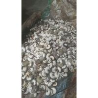 kacang mete asli wonogiri, fress mentah 
