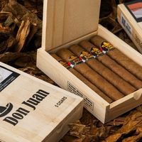 Cerutu Don Juan Cigars (Box-5 sticks)