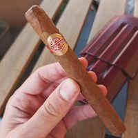 Quintero brevas - box of 25 cigar cerutu