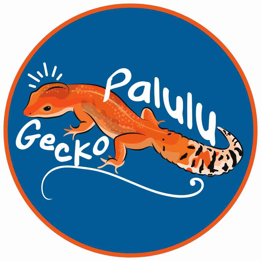 GeckoPaluluJPG