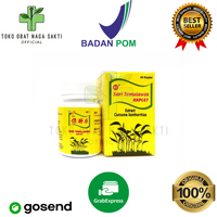 Obat Herbal Untuk Panas Dalam - Sari Temulawak Kaplet