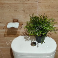 Bar Soap Holder 3M Stick to Any Wall Tempat Sabun Batang Mandi