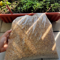 sekam mentah 1 kg