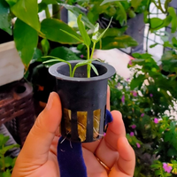 Netpot Hidroponik 5cm