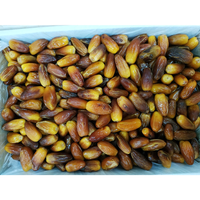 Kurma Tunis Madu Dus 5kg Fress Tunisia Datte Deglet Nour