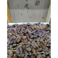 Kurma Tunisia Tangkai Lina Dattes 5 KG