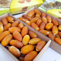 Kurma Muda Kurma Ruthob Libya Fress Murah