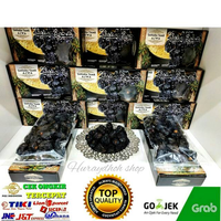 KURMA AJWA PREMIUM 500 GRM KURMA AJWA SAHARA TAMR KURMA NABI