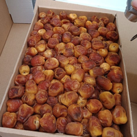 Kurma Sukari 3kg Premium Madinah Kurma Raja