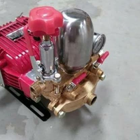 Piston Plunger Mesin Sprayer Doorsmeer Sanchin Sc30 30cc - 30mmx131mmx10mm
