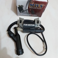 Cdi Coil Koil Pengapian Mesin Honda Gx160 Gx200 5.5Hp 6.5Hp Mws