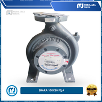 Pompa Ebara 100x80 FSJA - Ebara Pump