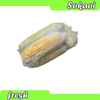 JAGUNG MANIS PAKET JAGUNG SAYUR SEGAR SAYURAN SEGAR
