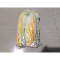 JAGUNG MANIS PAKET JAGUNG SAYUR SEGAR SAYURAN SEGAR