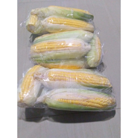 JAGUNG MANIS PAKET JAGUNG SAYUR SEGAR SAYURAN SEGAR