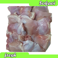 FILLET PAHA AYAM PAHA AYAM FILLET TANPA KULIT AYAM POTONG AYAM BROILER