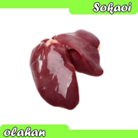 HATI AYAM REMPELO JEROAN DAGING AYAM DAGING SEGAR AYAM POTONG