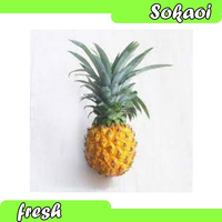 NANAS MADU BUAH SEGAR BUAH BUAHAN SEGAR