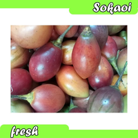 BUAH TAMARILLO TERONG BELANDA 500GR