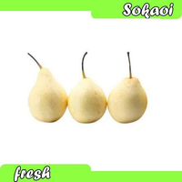 BUAH PEAR CENTURY BUAH PIR BUAH SEGAR BUAH BUAHAN