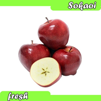 BUAH APEL WASHINGTON 500GR