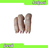KAKI BABI PIG LEG CUKIOK