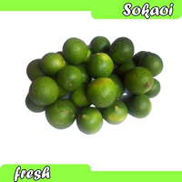 JERUK NIPIS BUAH BUAHAN BUAH SEGAR SAYUR SEGAR SAYURAN SEGAR