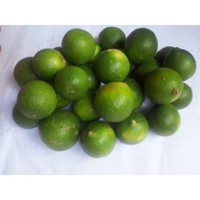 JERUK NIPIS BUAH BUAHAN BUAH SEGAR SAYUR SEGAR SAYURAN SEGAR