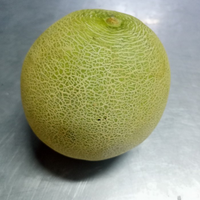 BUAH MELON PUTIH  2 kg
