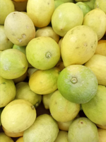 BUAH LEMON LOKAL BUAH LOKAL LEMON SEGAR BUAH SEGAR