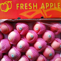 APEL FUJI BUAH APEL BUAH SEGAR BUAH BUAHAN