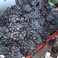 ANGGUR HITAM BALI 3 KG