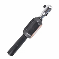 Aliyiqi Digital mini torque wrench 1/2 inch 100Nm for catruck tire etc