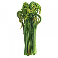 Daun Pakis 250 gram