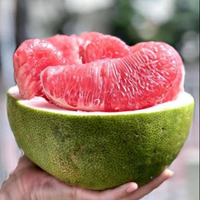 Jeruk Bali Pamelo 1 Kg