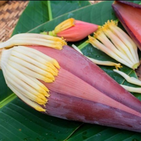 Jantung pisang 1buah 800-1000gram