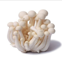 jamur shimeji putih 150g