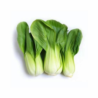 sayur pokchoy 1ikat