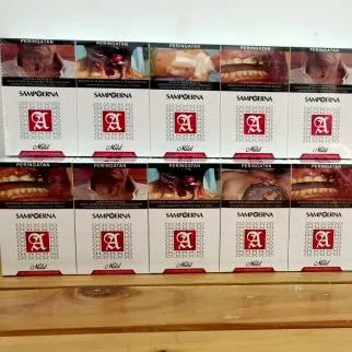 Jual SAMPOERNA MILD 16 1 SLOP 10 BUNGKUS dengan Harga Terbai